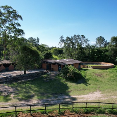 Haras: O Encanto da Criação Equina